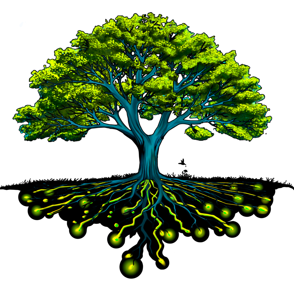 Logo Eco-dev